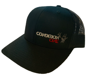 Open image in slideshow, Condition One - Condition One
